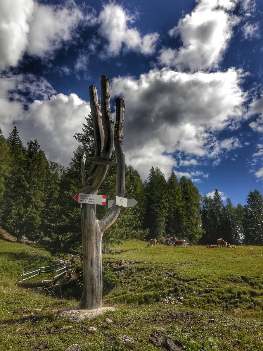 DanielaDaVi2's tweet photo. Le Dolomiti di settembre 🔝 https://t.co/cjcU6JTisZ
