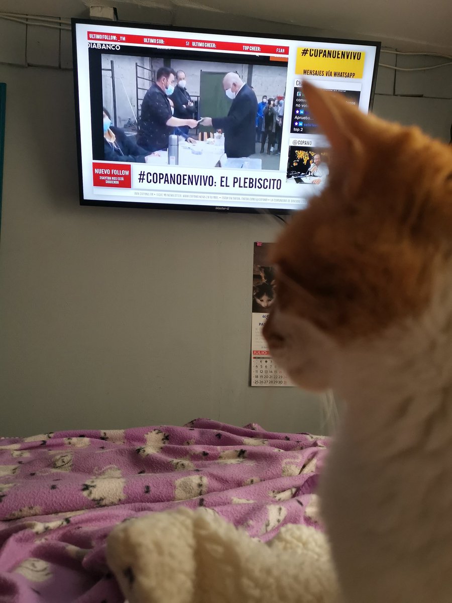 France tweet media
