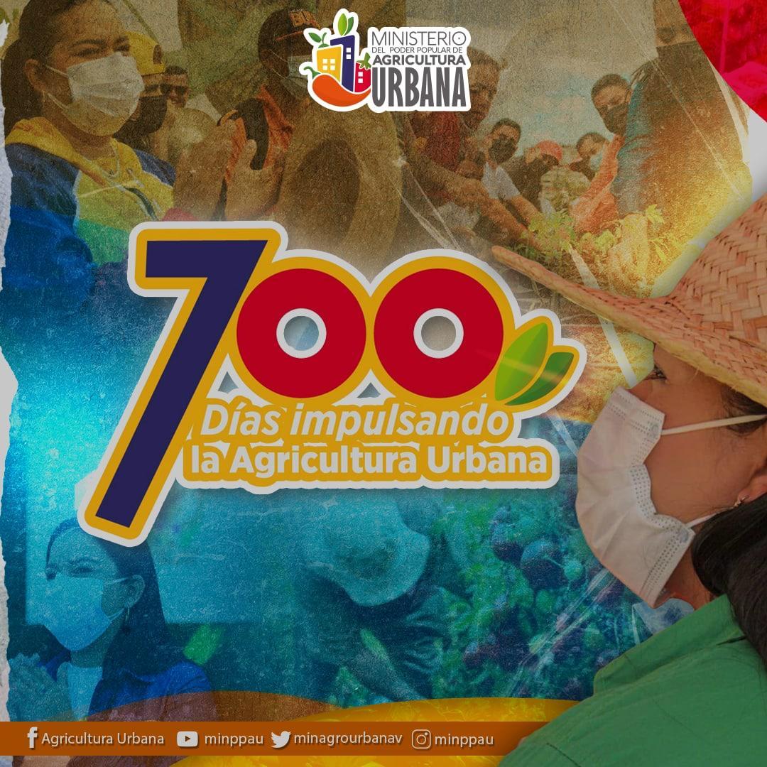 Celebramos Junto a nuestra Ministra <a href="/greybp1/">Greicys Barrios</a> 700 días de avances y victorias Agrourbanas!! Dios continúe bendiciendo esta gestión vamos juntos en el fortalecimiento de nuestra Misión Agro Venezuela como lo instruyó nuestro Presidente <a href="/NicolasMaduro/">Nicolás Maduro</a>.
<a href="/FreddyBernal/">Freddy Bernal</a> <a href="/KaremDeBernal/">Karem Durán de Bernal</a>
