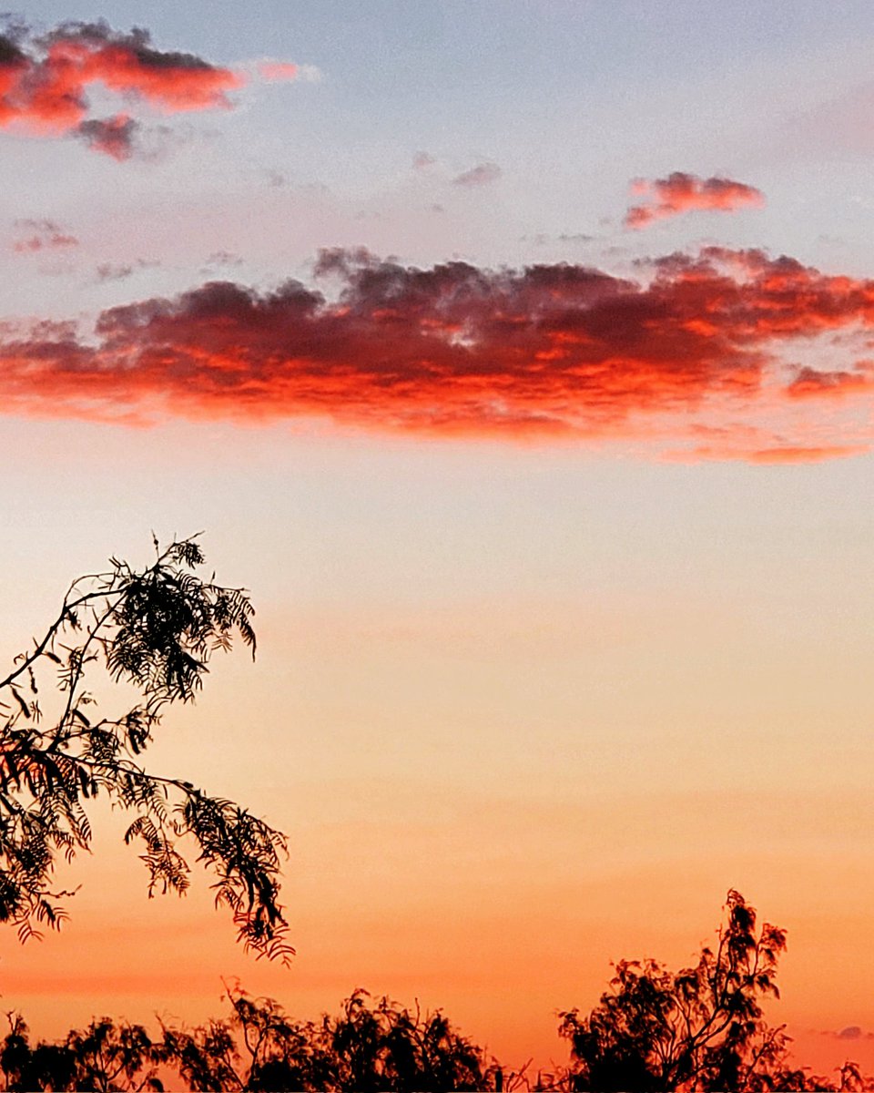 Ashley🌸Maestas🎨🐢 (@lush_surge) on Twitter photo 