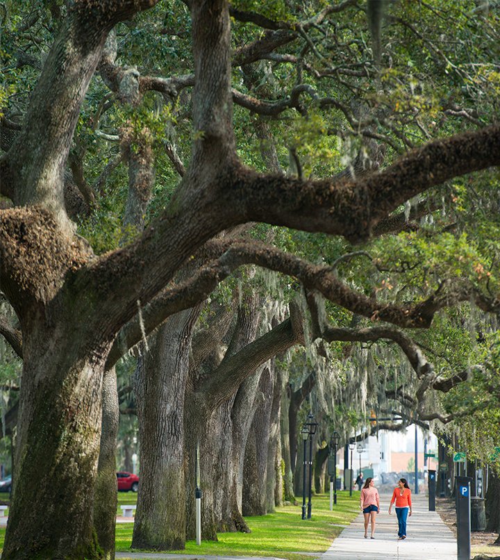 Our favorite park is one you can share with a friend.   #Sav912day #912Day #savannahday #savannahstrong #trolleytours #OldTownTrolley #HTAStoryteller #SavannahTrolley #SavannahTours #VisitSavannah #Savannah #bff