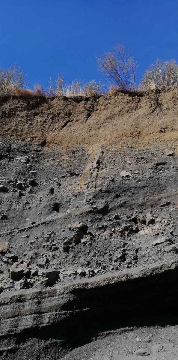 MSchiedung's tweet photo. Great way to start #DBG22 in #Trier  with an excursion in the volcanic Eifel @Maarvulkane 🌋 with freshly classified Andosol, lakes, flufy to dense tephra and goat cheese. 
@DBG_Soils https://t.co/itwF8x8tnm