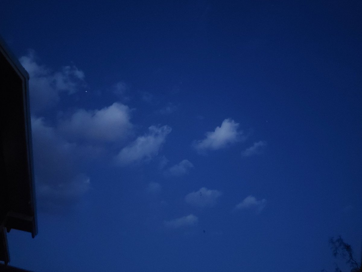 Ashley🌸Maestas🎨🐢 (@lush_surge) on Twitter photo 