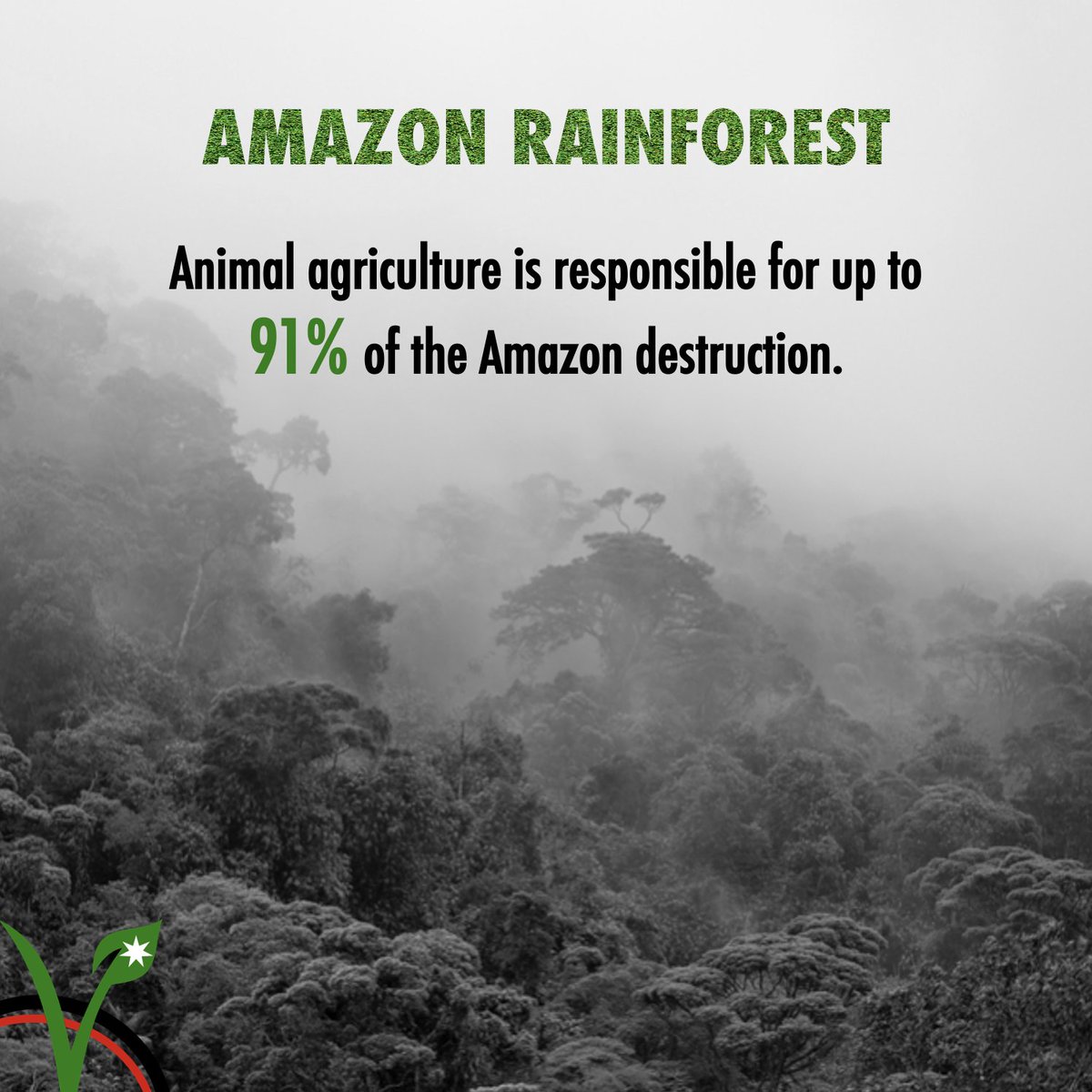 JordanianVegans's tweet photo. A few facts about the impact of animal agriculture on land use, desertification and the destruction of the Amazon
Sources: link in bio
#ClimateChange  #AnimalAgriculture https://t.co/5Z7TkLXi3R