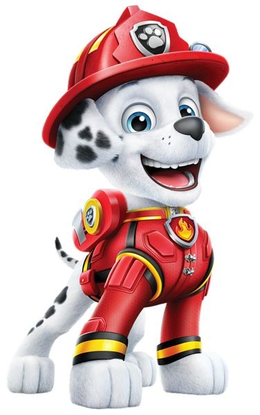_chasepawpatrol's tweet photo. https://t.co/YbZvLa7dFo