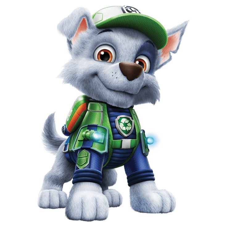 _chasepawpatrol's tweet photo. https://t.co/6kGccHEnZf