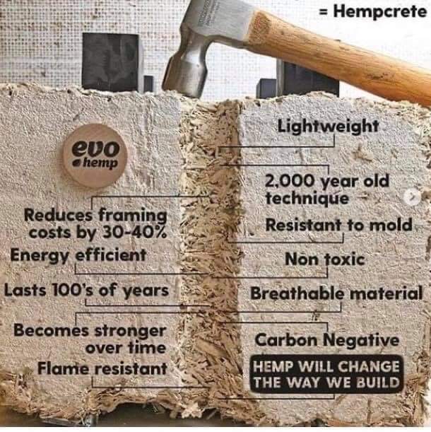 Just1aThemDayz's tweet photo. @TheSNP
@scottishgreens
@ScottishLabour
This can & should be the go to building materials for all new houses & for all insulation for houses.
@NicolaSturgeon can we please start producing this with the understanding that we can & will use the entire plant in #iScot.
#indyref2 🏴 https://t.co/UeX3LReStc