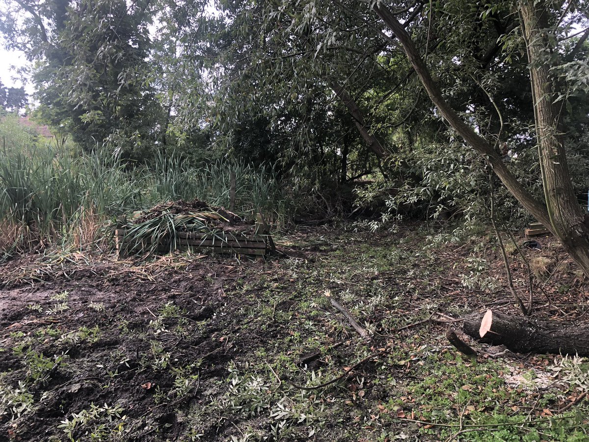 SparkyMarkyMB's tweet photo. Seized the opportunity to rebuild the nesting platform in the village pond with the help from a couple of neighbours, hoping we see rain to reinvigorate life soon. #hessay https://t.co/LKmhNUq1SR