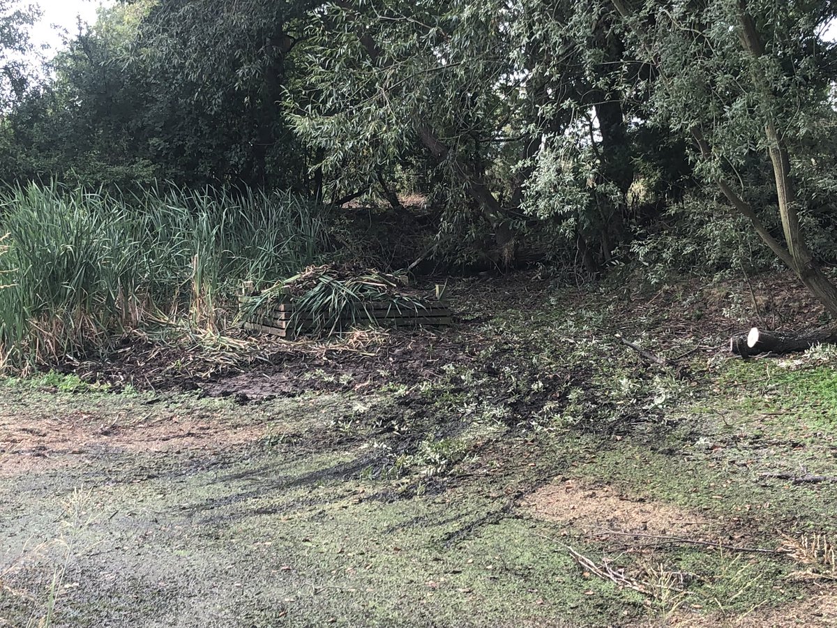 SparkyMarkyMB's tweet photo. Seized the opportunity to rebuild the nesting platform in the village pond with the help from a couple of neighbours, hoping we see rain to reinvigorate life soon. #hessay https://t.co/LKmhNUq1SR