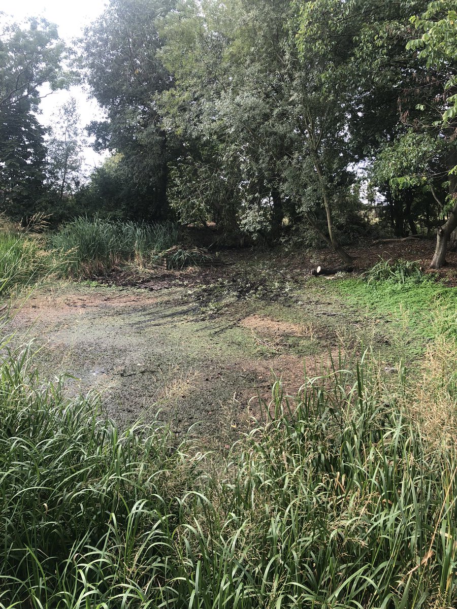 SparkyMarkyMB's tweet photo. Seized the opportunity to rebuild the nesting platform in the village pond with the help from a couple of neighbours, hoping we see rain to reinvigorate life soon. #hessay https://t.co/LKmhNUq1SR