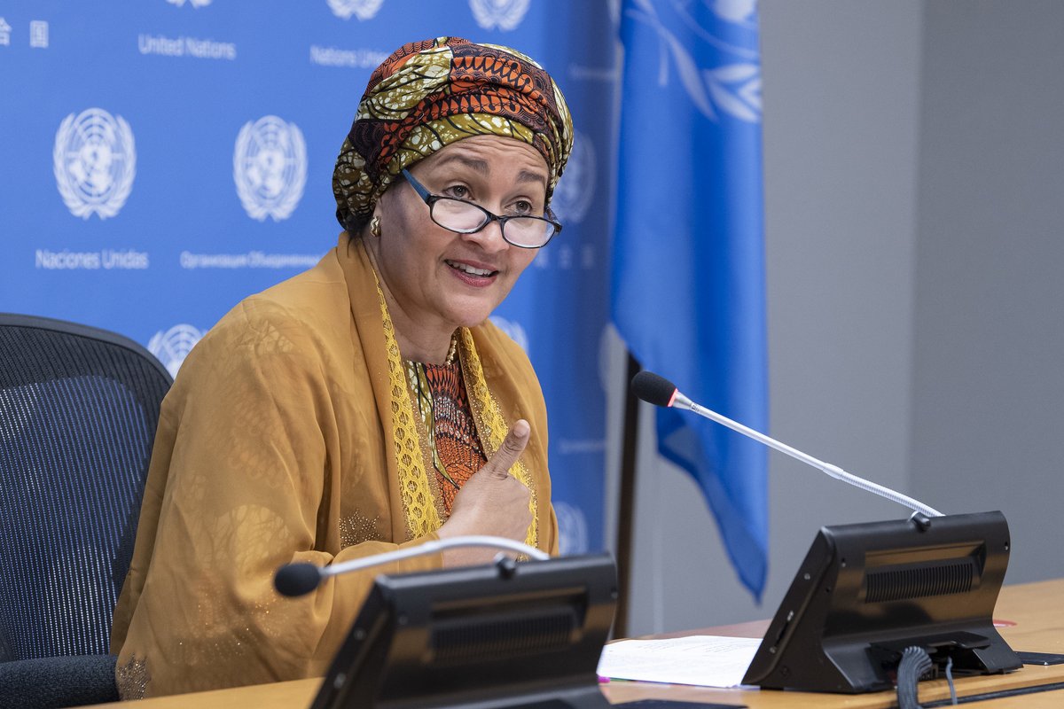United Nations Egypt tweet media