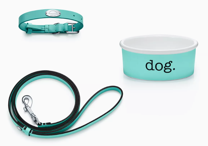 IDPorn_eth's tweet photo. If your dog got lost, would someone really know it was yours? Choose your identity wisely!

#tiffany #imageisall #mansbestfriend https://t.co/shN2pcjAqX