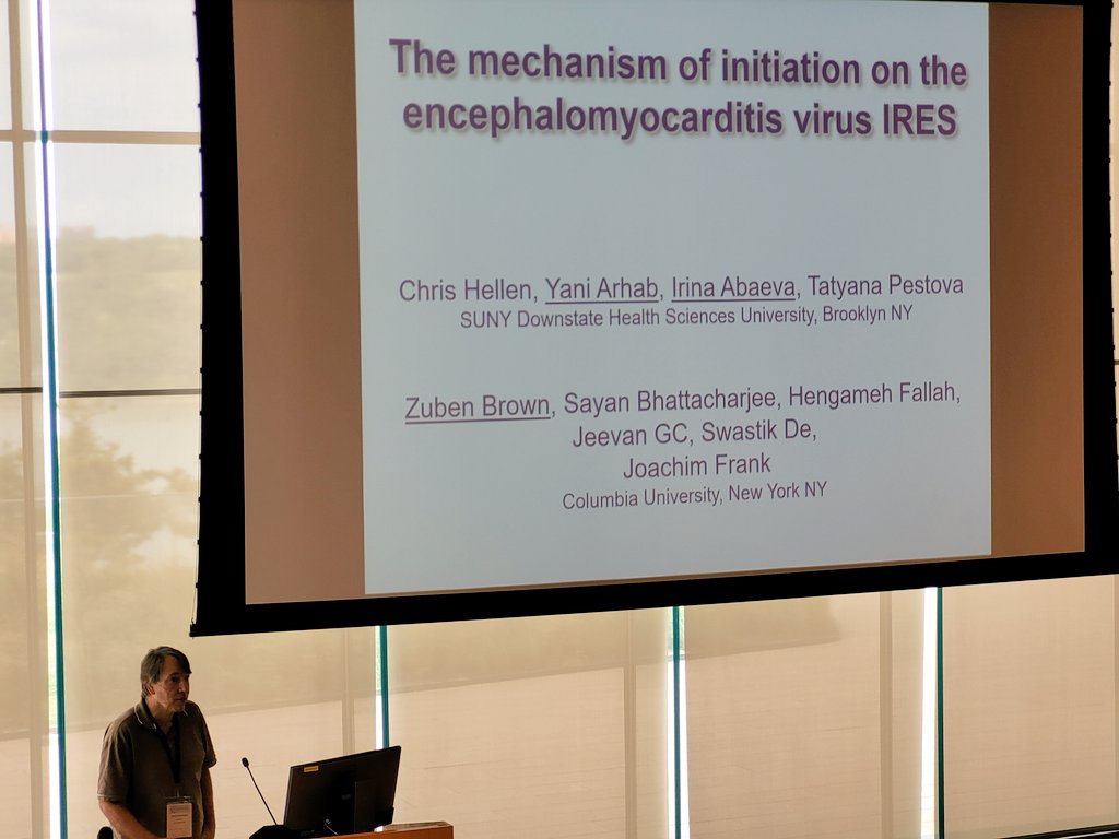 We continue our session with Christopher Hellen who will be telling us about a fascinating story of translation initiation on EMCV IRES