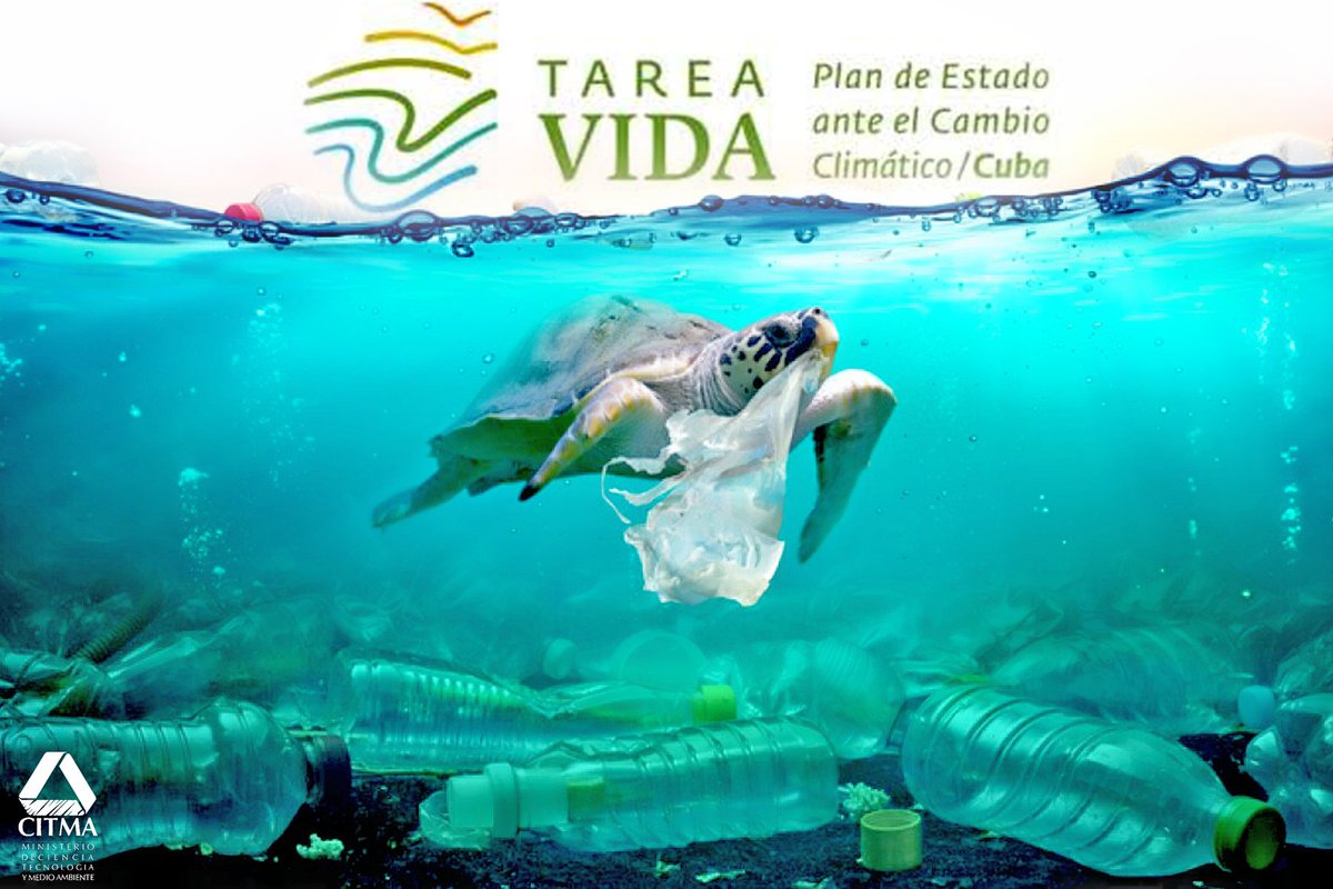 La pérdida de la #Biodiversidad, el #CambioClimático y la contaminación, son las tres crisis globales que necesitan medidas urgentes e innovadoras.
#SalvemosLaBiodiverdidad
#CubaPorLaVida
<a href="/citmacuba/">Ministerio de Ciencia, Tecnología y Medio Ambiente</a> <a href="/TareaVida/">Tarea Vida</a> 
<a href="/ElbaRosaPM/">Elba Rosa</a> <a href="/SANTANACITMA/">JOSE FIDEL SANTANA NUÑEZ</a> <a href="/OGAmbienteCuba/">Odalys Caridad Goicochea Cardoso</a> <a href="/JorgeAlvarezAl5/">Jorge Alvarez Alvarez</a> 
<a href="/AMA_CUBA/">AMACuba</a>