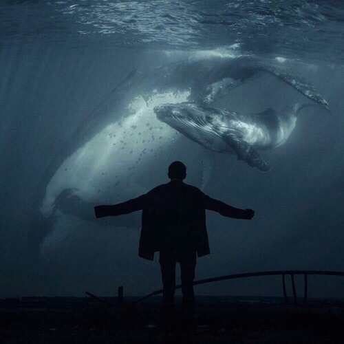 archillect's tweet photo. https://t.co/X4sbgruNgz