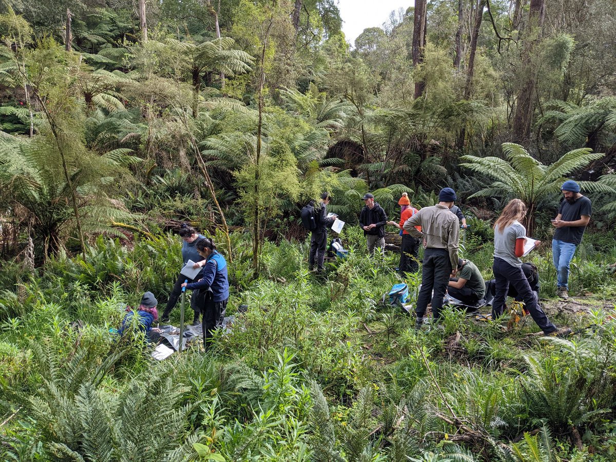MonashEAE's tweet photo. How do the soil, water and vegetation of Southern Victoria interact to form this awesome landscape? Ask our second year EAE2322 students, who have spent the weekend putting this story together! #theworldisourlab https://t.co/2O9g29ivnT
