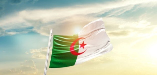 Kamalkhalaf17 tweet picture