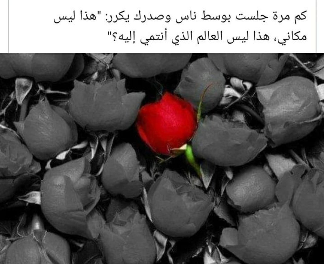 بًدٍريِة الهاشلية (@b_alhashlia) on Twitter photo 