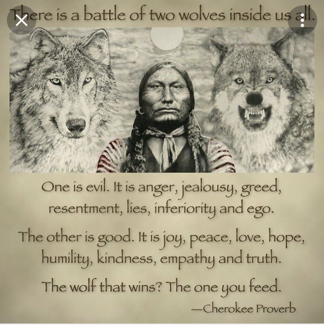 The good Wolf