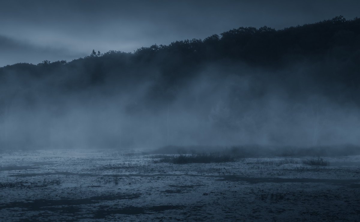 LokiHighlock's tweet photo. of fog and fen https://t.co/ocRMkvhyWa
