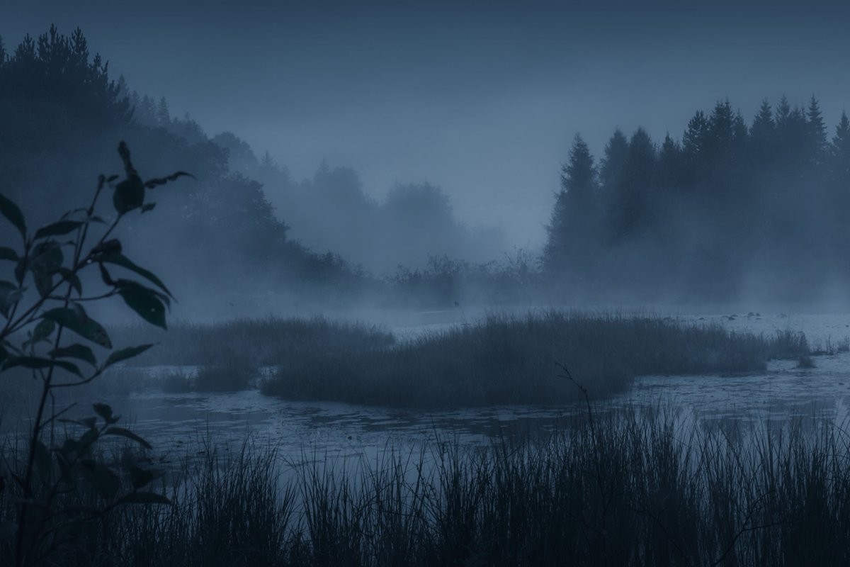 LokiHighlock's tweet photo. of fog and fen https://t.co/ocRMkvhyWa