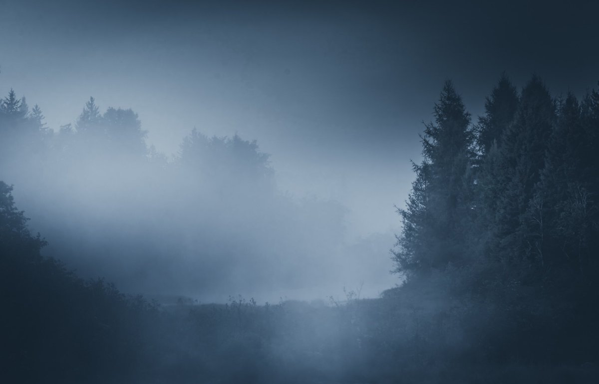 LokiHighlock's tweet photo. of fog and fen https://t.co/ocRMkvhyWa
