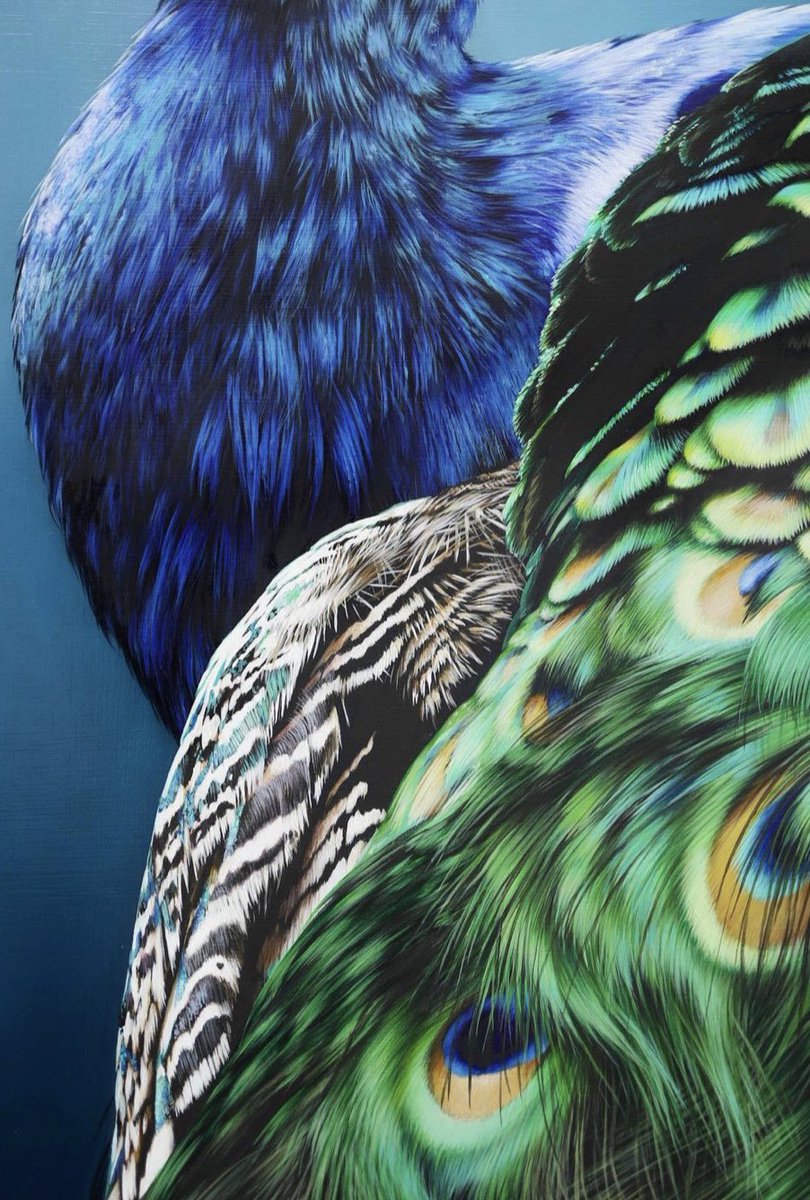 Daauus Advertising Agency tweet media