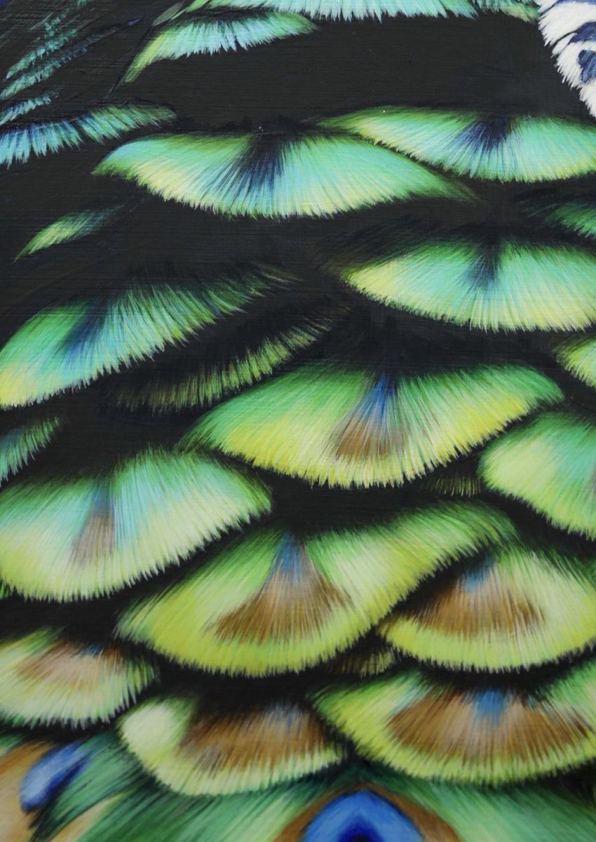 Daauus Advertising Agency tweet media