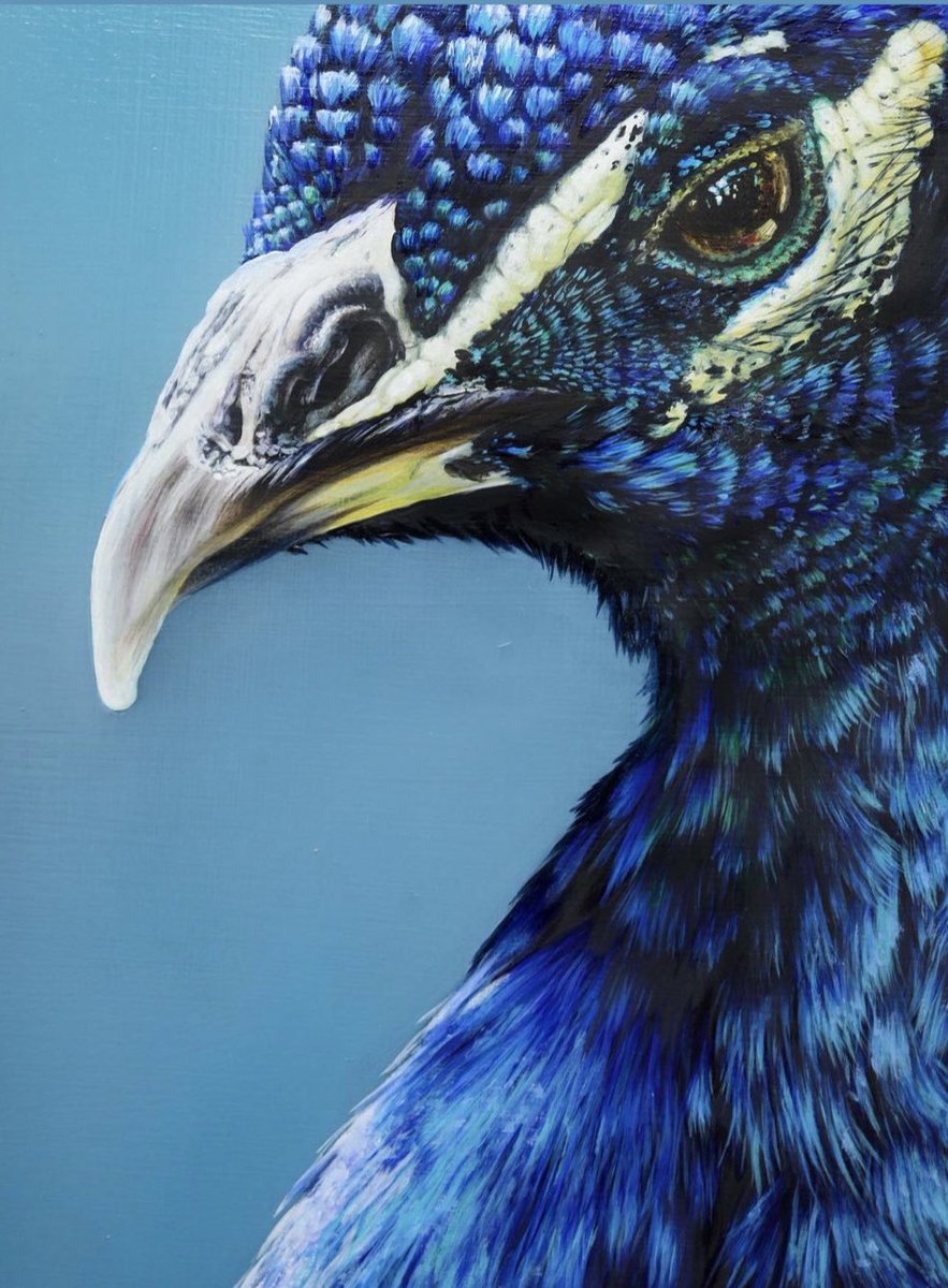 Daauus Advertising Agency tweet media