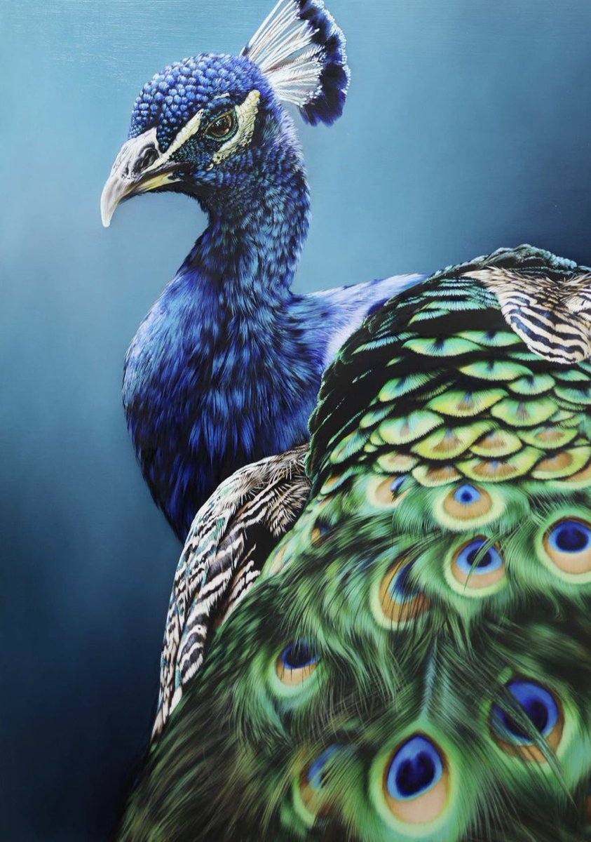 Daauus Advertising Agency tweet media