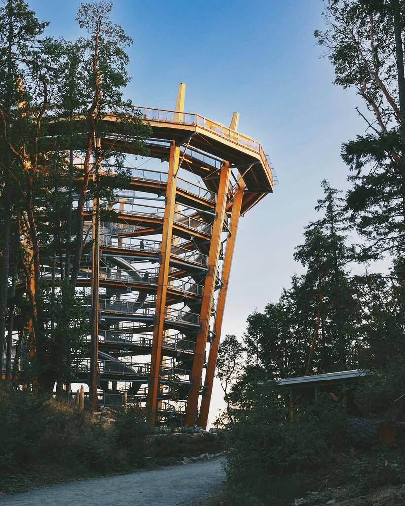 itsnelsonwei's tweet photo. #malahatskywalk #skywalk #vancouverisland 
.
.
.
.
.
 #naturephoto #main_vision #landscape_captures #awesome_earthpix #natureaddict #rsa_rural #awesomeearth #naturephoto #main_vision #landscape_captures #awesome_earthpix #natureaddict #rsa_rural #awesome… https://t.co/0hqKZg2Cur https://t.co/zz1ZrUXFvK
