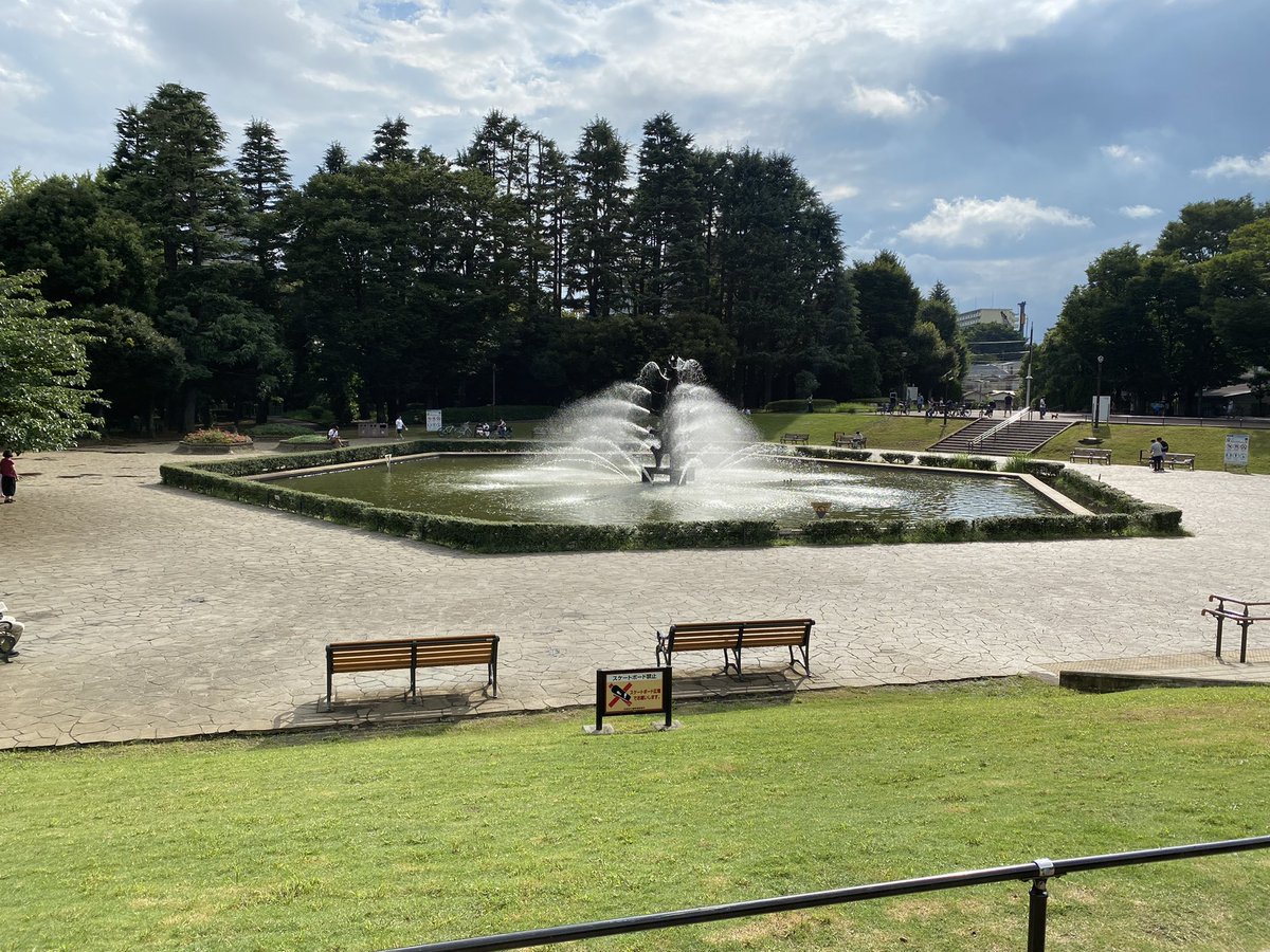 せいや tweet media