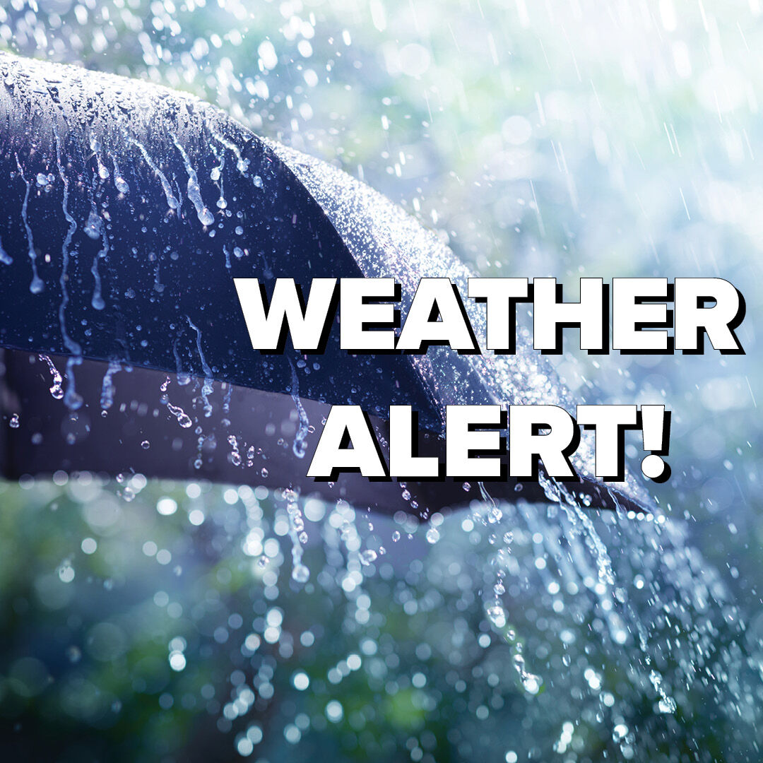 Newtown Labor Day Parade tweet media