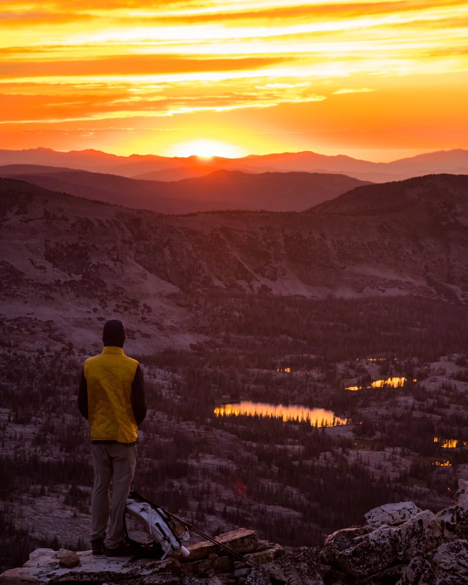 Ian Provo (@ianprovo) on Twitter photo 