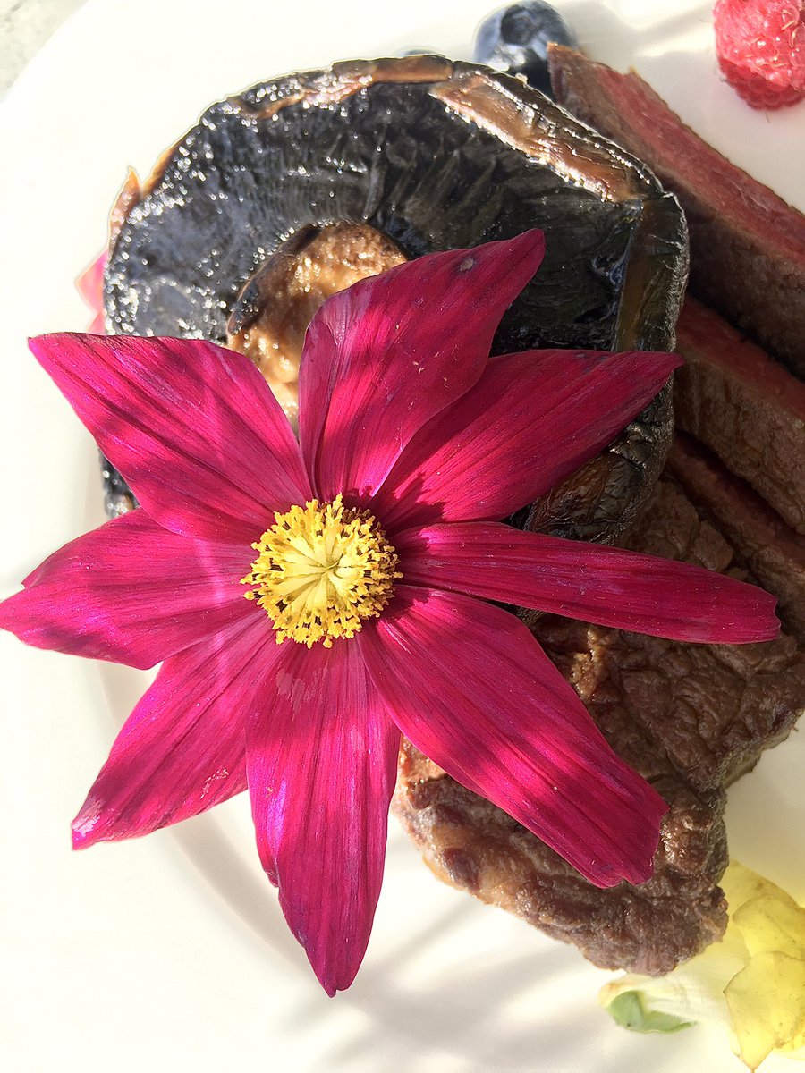 sanjinjukic's tweet photo. #steak #rindersteak #champignon #blackberry #blueberry #raspberry #flowers #redwine #organicwine #merlot #sonnenmulde #biowein #zarahome #burgenland https://t.co/y6fDApsNCz