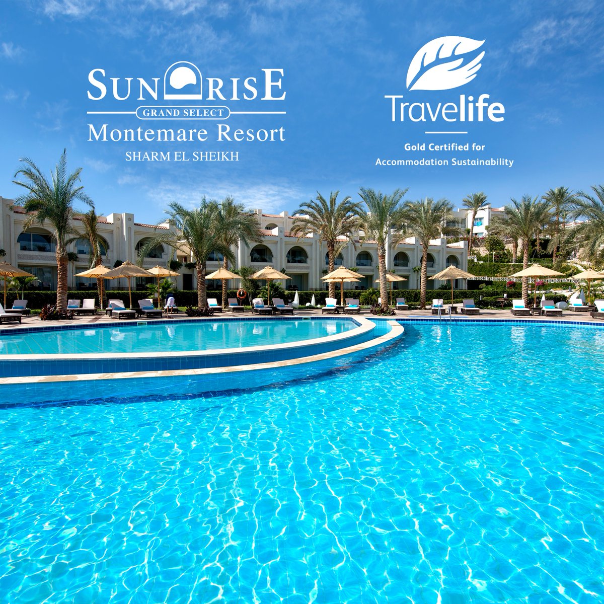SRMontemare's tweet photo. We proudly announce that SUNRISE Montemare Resort has been certified with Travellife Award

Travelife is a certification that helps hotels manage &amp; monitor their social &amp; environmental impacts

#SUNRISEResortsAndCruises #SUNRISEMontemareResort #RedSea #SharmElSheikh #ThisIsEgypt https://t.co/QW0x1crpvv