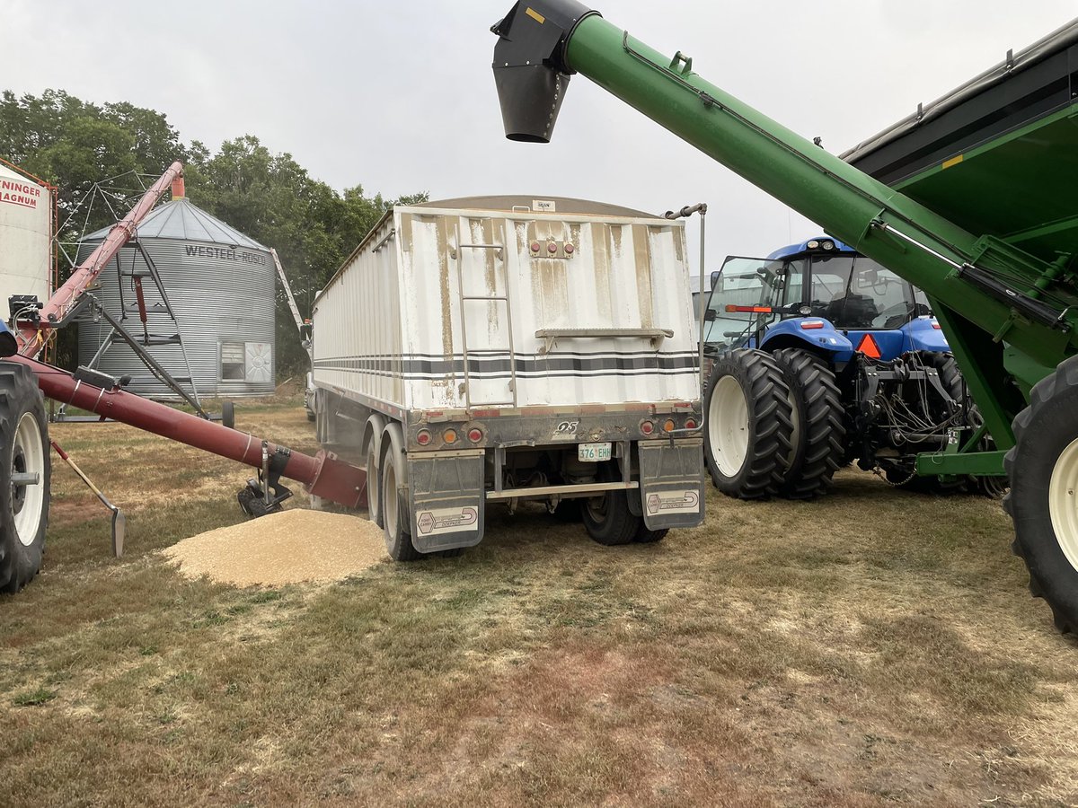If you have too spill grain at harvest that’s probably the best place to do it😂😀