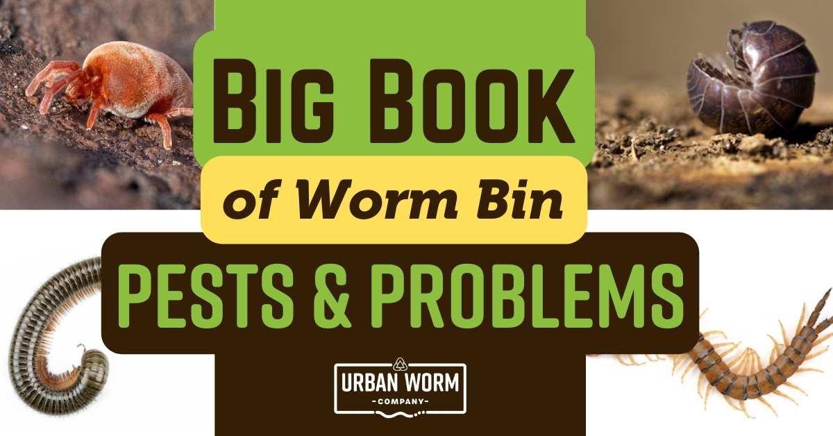 Does your worm bin have problems? We've got answers...
urbanwormcompany.com/mites-ants-bsf…
#composting #vermicomposting #worms