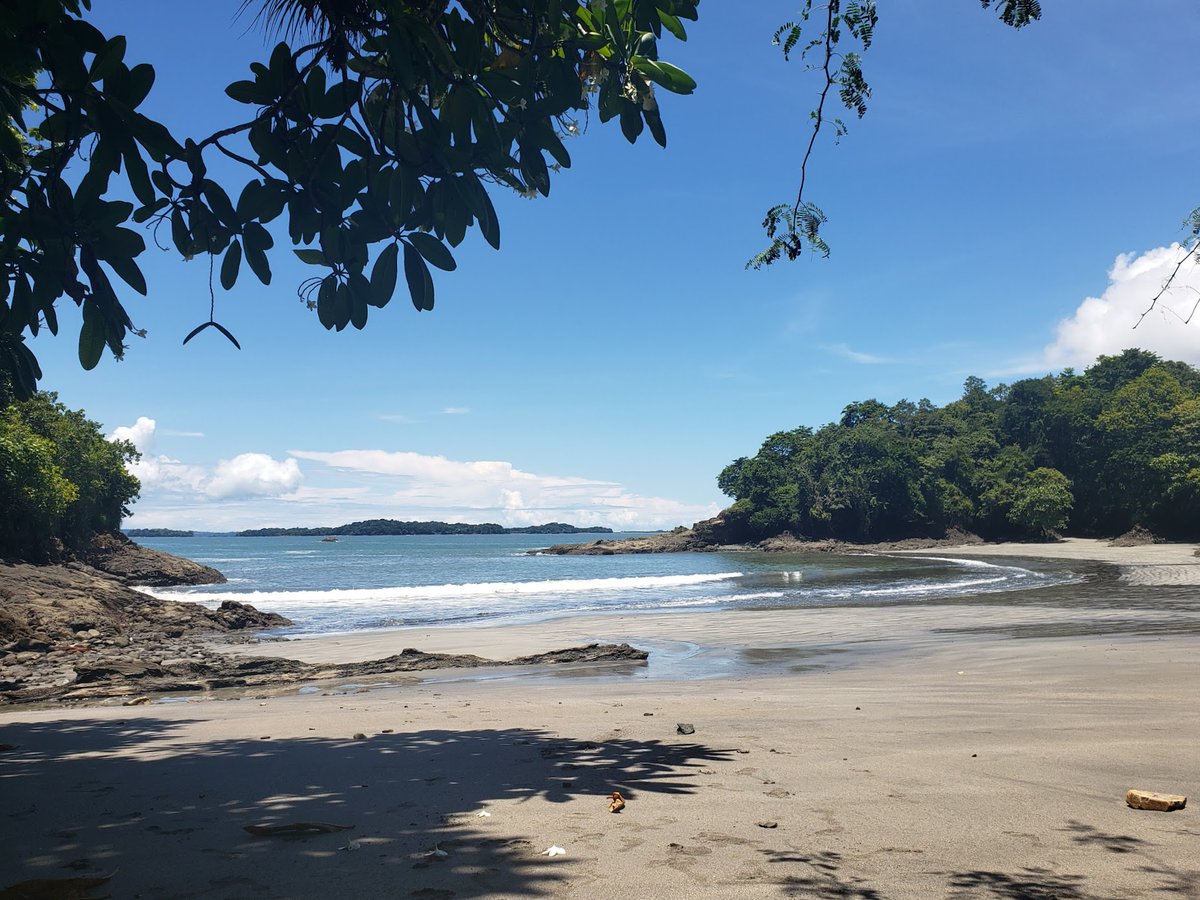 FINALLY, the beach!! And whales! Such an amazing day, so thankful for the opportunity to explore the Pacific islands off Boca Chica with great people. 🫶🏽🥰🌈🍹
#panama #islandlife #animation #beachday