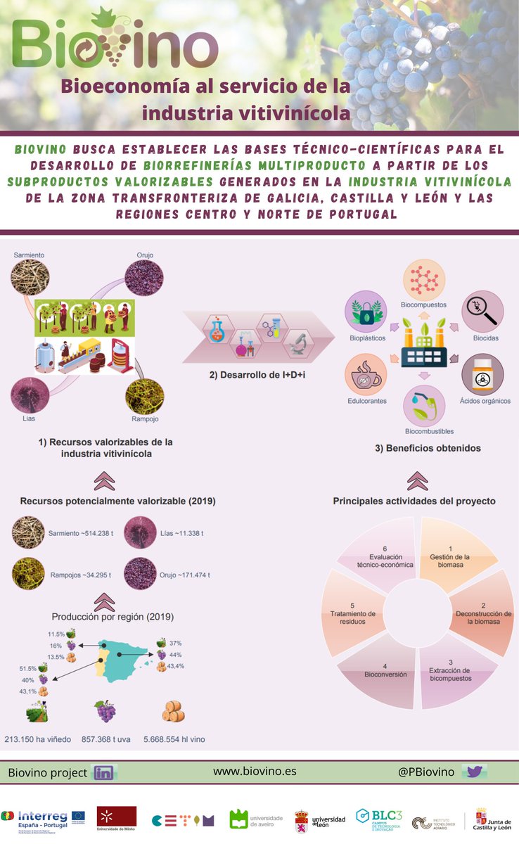 ITACYL's tweet photo. A través de @PBiovino investigamos para fomentar la implantación de biorrefinerías multiproducto que permitan valorizar los subproductos vitivinícolas a través de la obtención de biocompuestos
#ITACyL #CIBAG @poctep @unileon @BLC3campus @UMinho_Oficial
ℹ️ https://t.co/VPWa3dP77U https://t.co/luGS7MgHxv