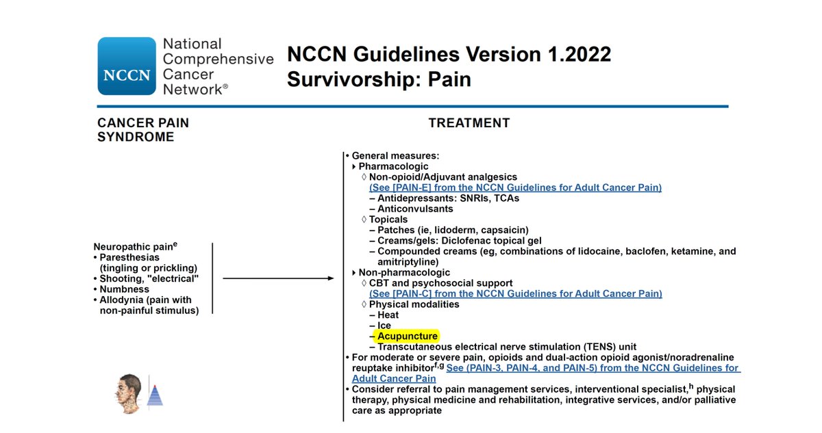 ⚕ Clinical practice guidelines 2022
🇺🇸 National Comprehensive Cancer Network (NCCN)
Neuropathic cancer pain (NcP). Inclusion of acupuncture as a treatment option.
The NCCN brings together 32 of the largest cancer centers in the United States.

nccn.org/guidelines/gui…