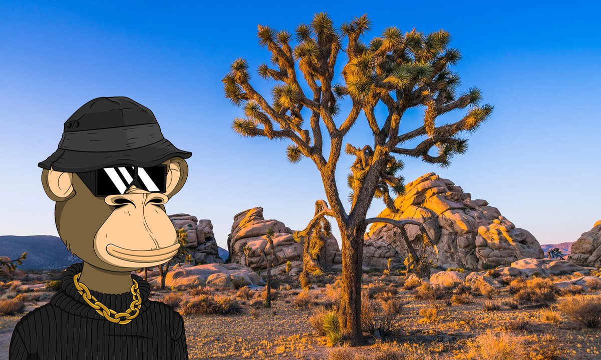 Brad is touching dirt today! What are your Frapes up to?