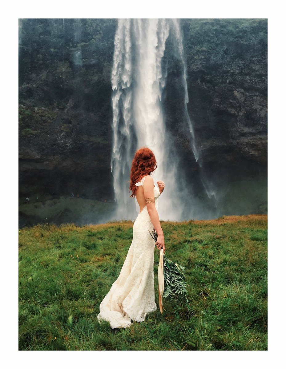 joe greer tweet media