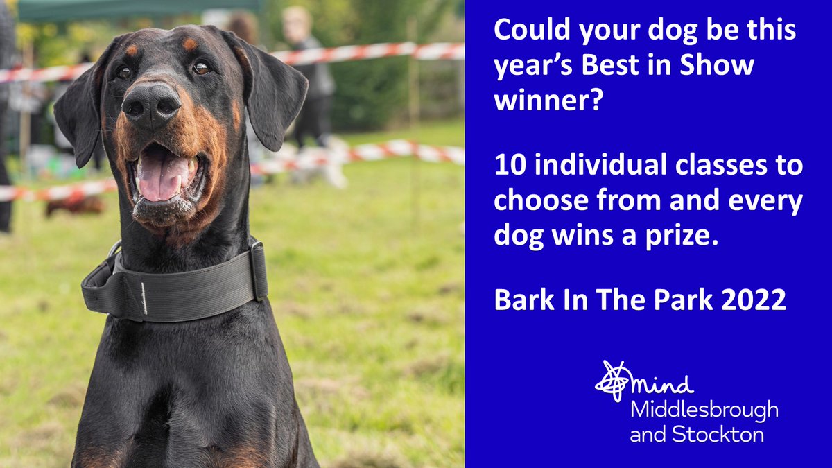 TeessideMind's tweet photo. Could your dog be our Best in Show Winner 2022? Our Fun Dog show has 10 individual classes to chose from ๐ถ. For a full list of classes and to buy your tickets now ๐
https://t.co/GFqzBdEQIq
#BITP #Teesside #MentalHealth #WhatsOnTeesside #Dog #DogShow #FunDogShow #FamilyFun https://t.co/5eIMBwtQ3D