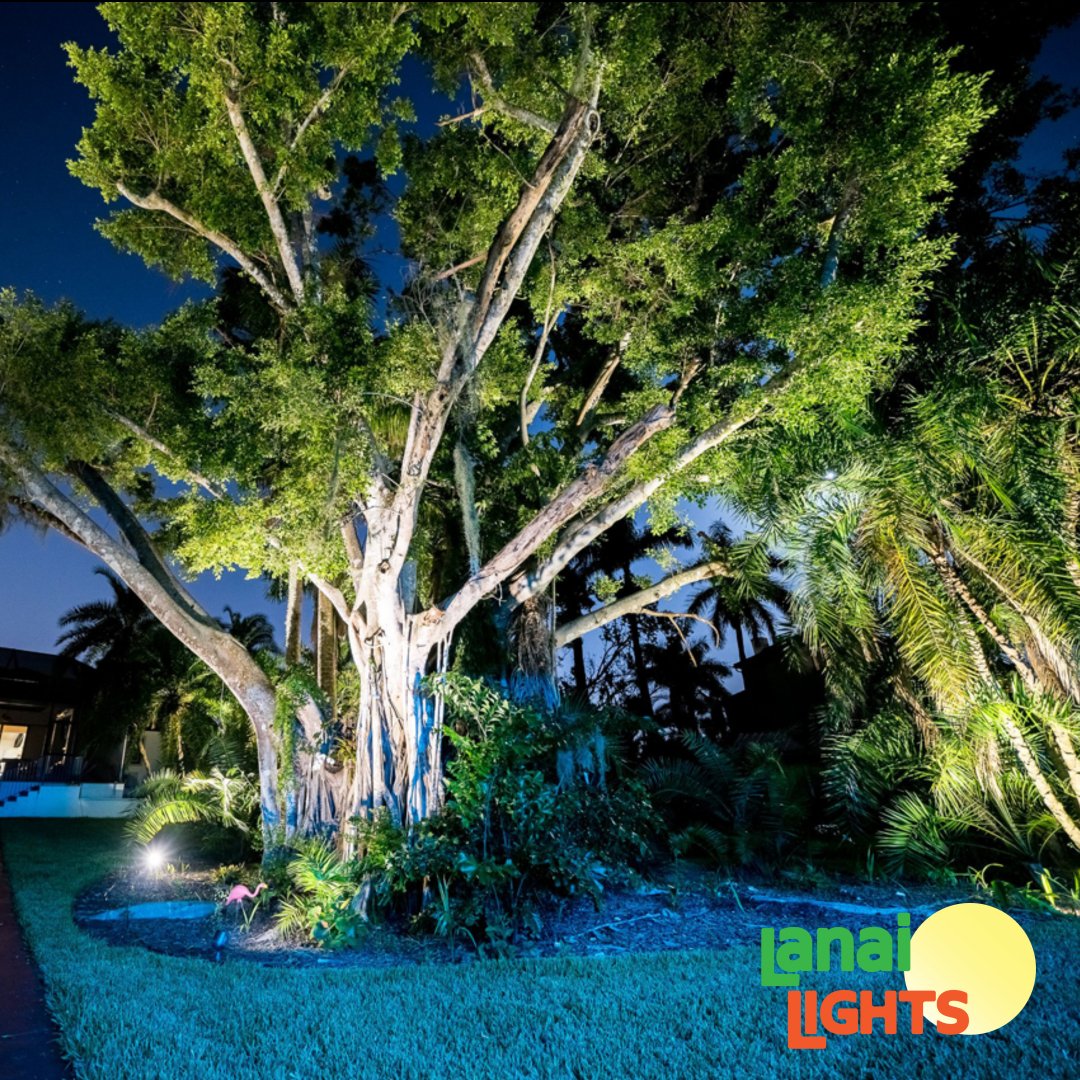 _lanailights's tweet photo. Product Hightlight: Landscape Lighting 🌴💡 Lanai Lights is proud to provide our customers with energy efficient outdoor lighting solutions!
#lanailights #lanai #lighting #florida #swfl #landscape #landscapelighting #securitylights #livebrighter https://t.co/X2boWBQvb0