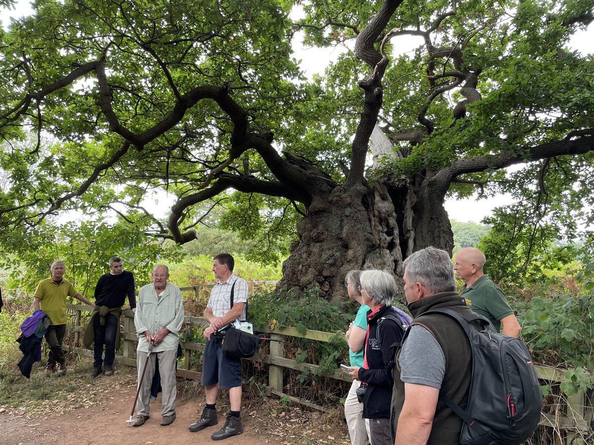 Fantastic to be part of the in person Ted Talk today at Calke Abbey today <a href="/ArbAssociation/">Arboricultural Association</a>