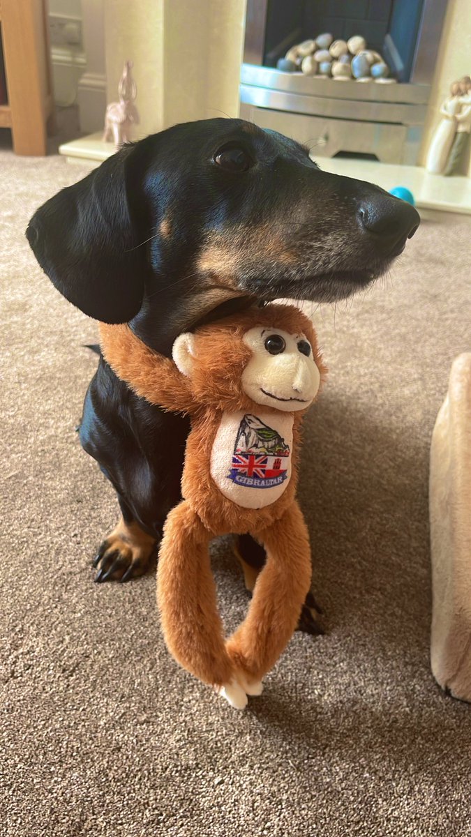 mr pickles dog plush