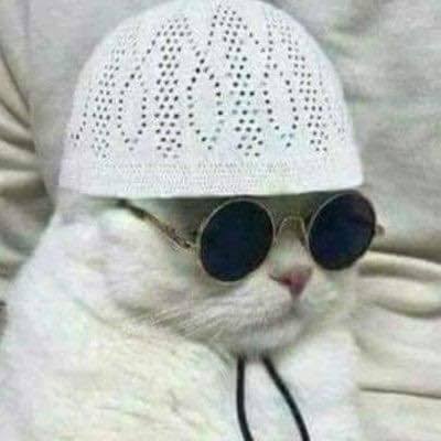 SNK8O4's tweet photo. @Faatimma___ #EndvsPak
#INDvsPAK2022 https://t.co/1deeBMSfH8