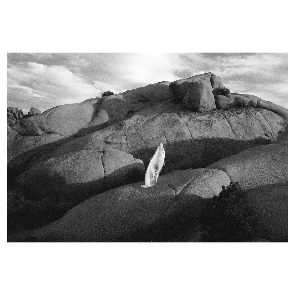 alister_mori's tweet image. The Ghost of Yesterday