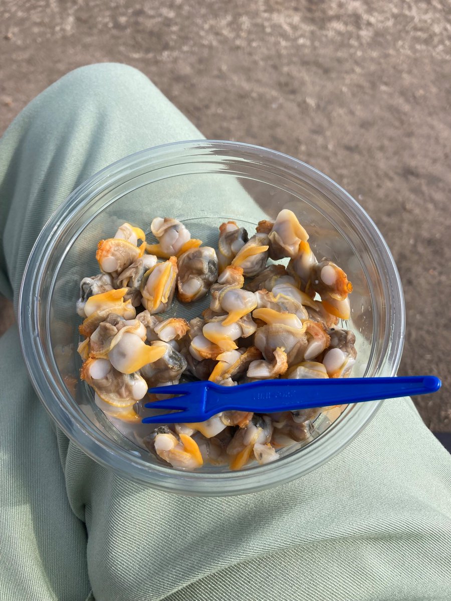 JanetteD tweet media